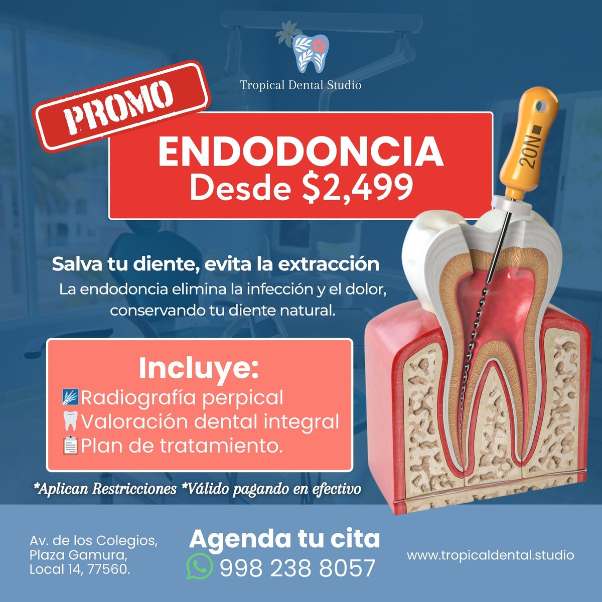 Endodoncia $2,499